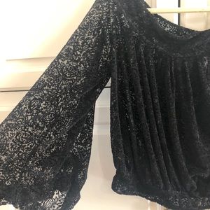 velvet see through top by free people
